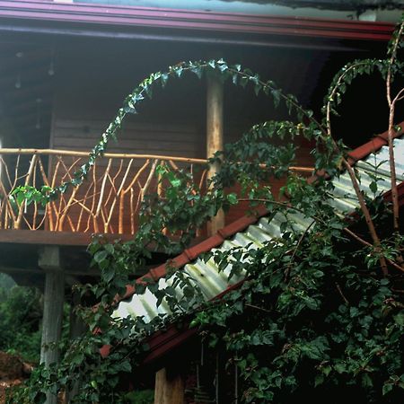The Dream Inn إيلا المظهر الخارجي الصورة