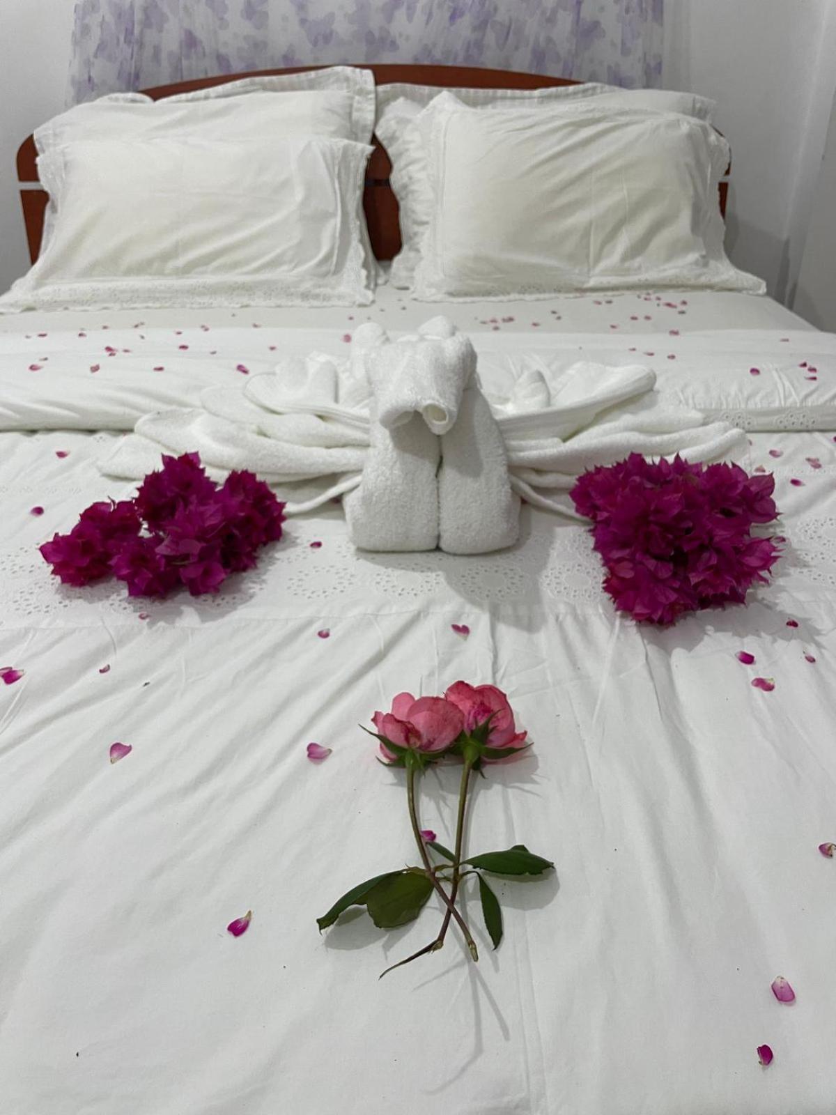 The Dream Inn إيلا المظهر الخارجي الصورة