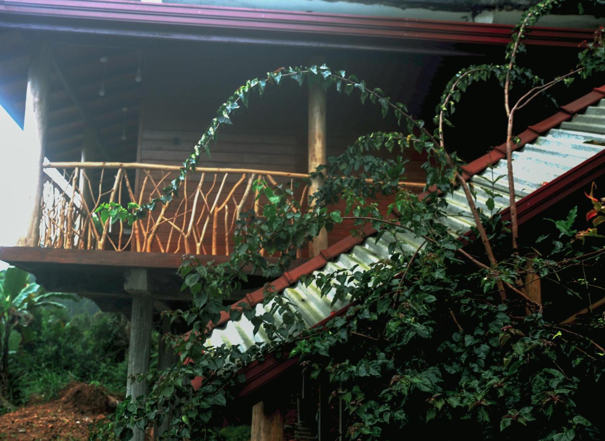 The Dream Inn إيلا المظهر الخارجي الصورة